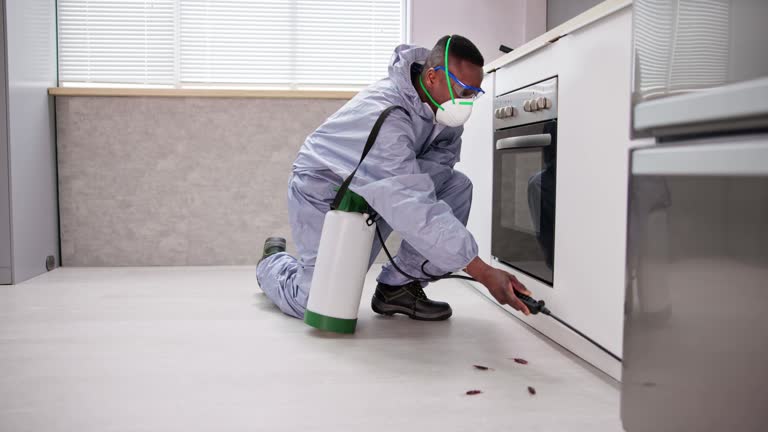 Best Commercial Pest Control  in East Niles, CA